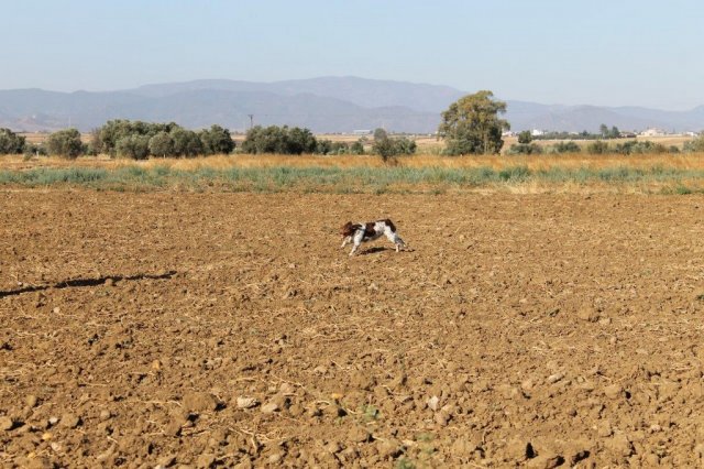 Αγωνες Α.Κ.Ι 11/6/2017